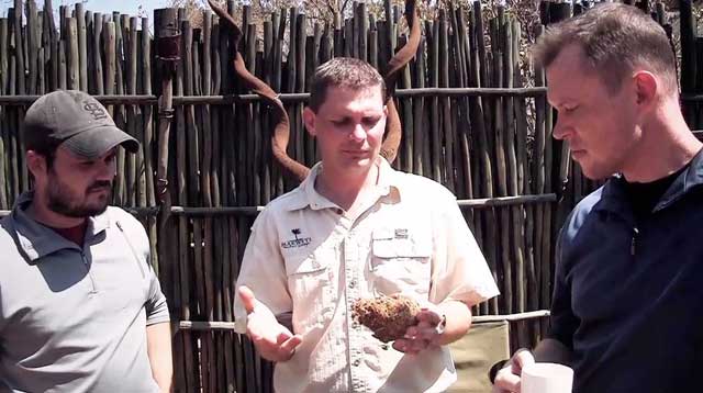Justin’s elephant-poop cold remedy